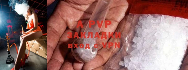 спиды Волосово
